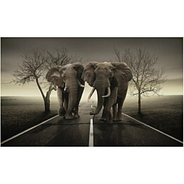 Kuvatapetti Artgeist Kaupungin norsuja 270x450cm