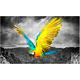 Kuvatapetti Artgeist Exotic parrot 270x450cm