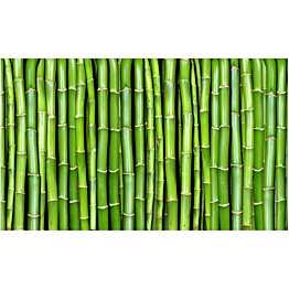 Kuvatapetti Artgeist Bambuseinä 270x450cm