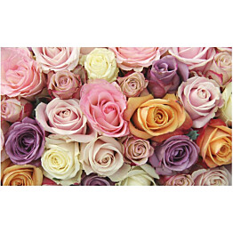 Kuvatapetti Artgeist Pastel roses 270x450cm