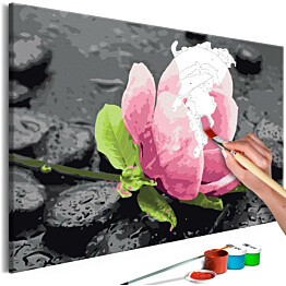 DIY-taulu Artgeist Pink Flower and Stones 40x60cm
