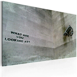 Taulu Artgeist Mitä sinä tuijotat? - Banksy, 40x60cm