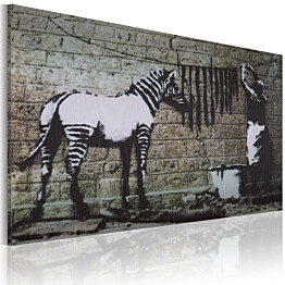 Taulu Artgeist Zebra pesu - Banksy, 40x60cm