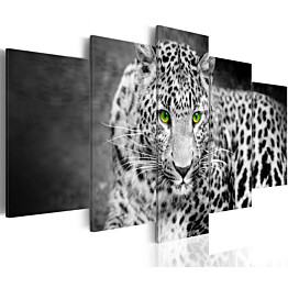 Taulu Artgeist Leopard eri kokoja