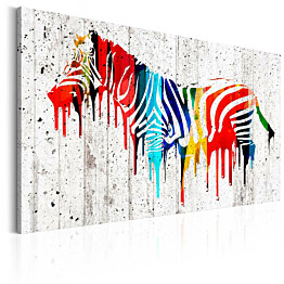 Taulu Artgeist Colourful Zebra eri kokoja