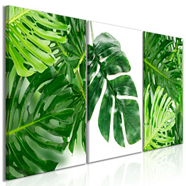 Taulu Artgeist Palm Leaves, 3-osainen, 60x120cm