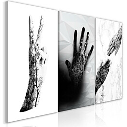 Taulu Artgeist Female Hands, 3-osainen, 60x120cm