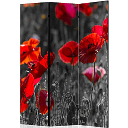 Sermi Artgeist Red Poppies 135x172cm