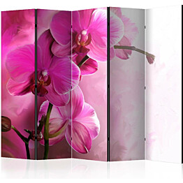 Sermi Artgeist Pink Orchid II 225x172cm