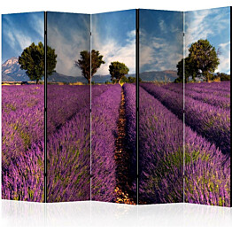 Sermi Artgeist Lavender field in Provence France II 225x172cm