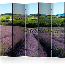 Sermi Artgeist Lavender fields II 225x172cm