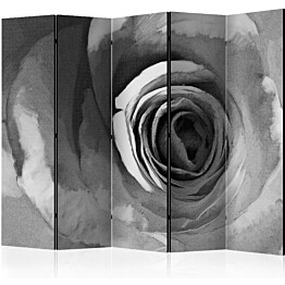 Sermi Artgeist Paper rose II 225x172cm