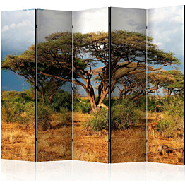 Sermi Artgeist Samburu National Reserve Kenya II 225x172cm