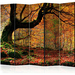 Sermi Artgeist Autumn forest and leaves II 225x172cm