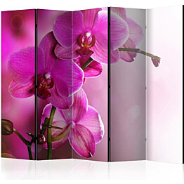 Sermi Artgeist Pink orchid 225x172cm
