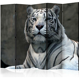 Sermi Artgeist Bengali tiger in zoo II 225x172cm