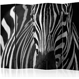 Sermi Artgeist White with black stripes II 225x172cm