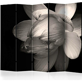 Sermi Artgeist Lotus flower II 225x172cm