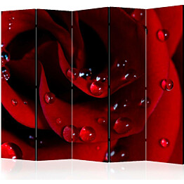 Sermi Artgeist Red rose with water drops II 225x172cm