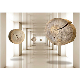 Kuvatapetti Artgeist Flying Discs of Wood eri kokoja