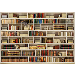 Kuvatapetti Artgeist Home library eri kokoja