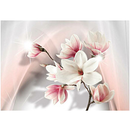 Kuvatapetti Artgeist White magnolias eri kokoja