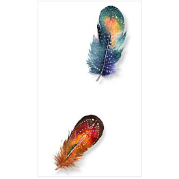 Tapetti Artgeist Colorful Feathers 50x1000cm