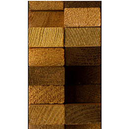 Tapetti Artgeist Wooden Wall 50x1000cm