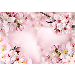 Sisustustarra Artgeist Spring Cherry Blossom eri kokoja