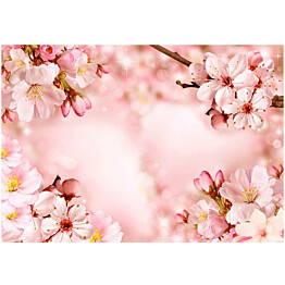 Sisustustarra Artgeist Magical Cherry Blossom eri kokoja