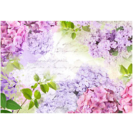 Sisustustarra Artgeist May&#039;s lilacs eri kokoja