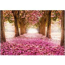 Sisustustarra Artgeist Pink grove eri kokoja