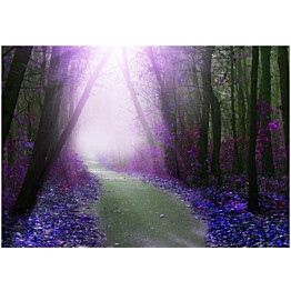 Sisustustarra Artgeist Purple path eri kokoja