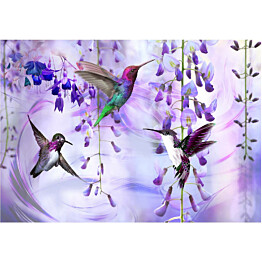 Sisustustarra Artgeist Flying Hummingbirds III eri kokoja
