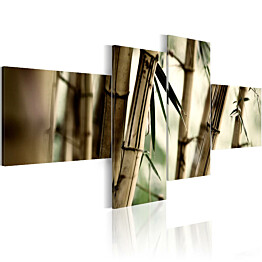 Taulu Artgeist Bamboo inspiration, eri kokoja