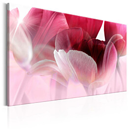 Taulu Artgeist Nature: Pink Tulips, eri kokoja