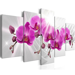 Taulu Artgeist Abstract Garden: Pink Orchids, eri kokoja