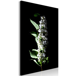 Taulu Artgeist White Lilacs, 1-osainen, pystysuuntainen, eri kokoja