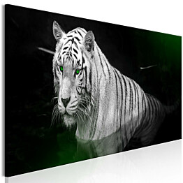 Taulu Artgeist Shining Tiger Green, 1-osainen, kapea, eri kokoja