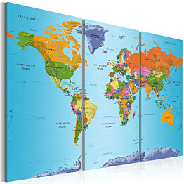 Taulu Artgeist World Map: Colourful Note, eri kokoja