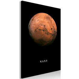 Taulu Artgeist Mars, 1-osainen, pystysuuntainen, eri kokoja