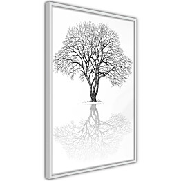 Juliste Artgeist Reflection Tree, kehyskartongilla, kehyksillä, eri kokoja