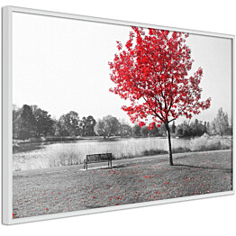 Juliste Artgeist Red Tree, kehyskartongilla, kehyksillä, eri kokoja