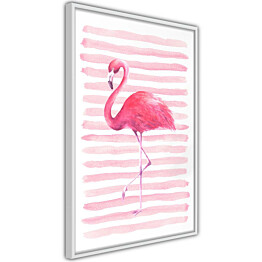 Juliste Artgeist Flamingo and Stripes kehyksillä eri kokoja