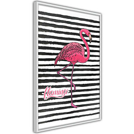 Juliste Artgeist Black Stripes and Flamingo, kehyskartongilla, kehyksillä, eri kokoja
