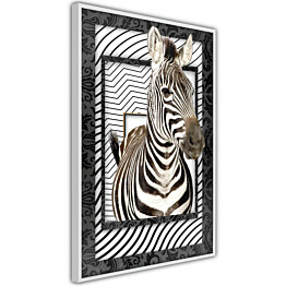 Juliste Artgeist Zebra kehyksillä eri kokoja