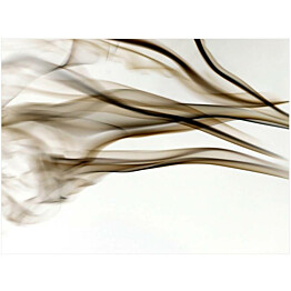 Kuvatapetti Artgeist Smoke - abstract eri kokoja