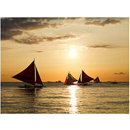 Kuvatapetti Artgeist Sailing boats - sunset eri kokoja