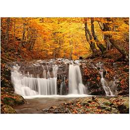 Kuvatapetti Artgeist Autumn landscape: waterfall in forest eri kokoja