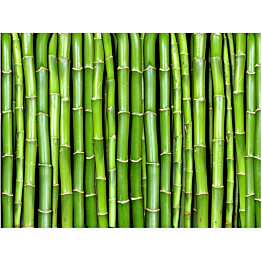 Kuvatapetti Artgeist Bambu eri kokoja